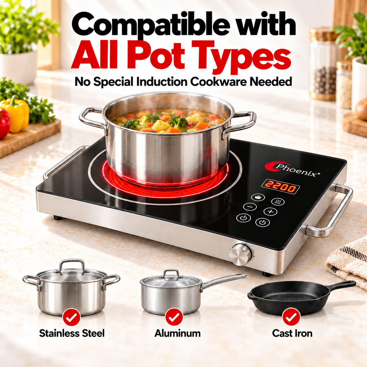 Phoenix 2200W Infrared Cooker with Touch Controls & Timer – ZB012